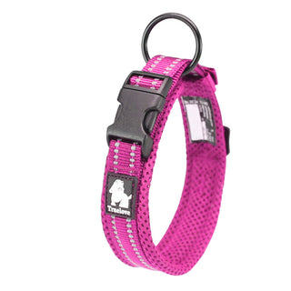 Anti Strangulation Medium Teddy Pet Collar