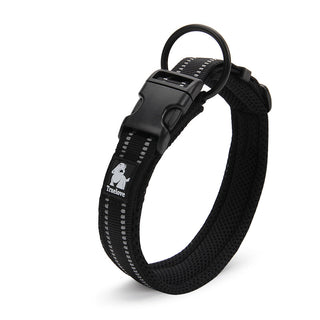 Anti Strangulation Medium Teddy Pet Collar