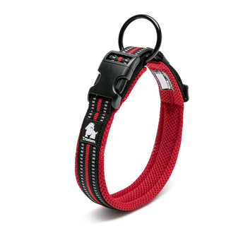 Anti Strangulation Medium Teddy Pet Collar